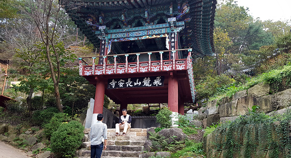 회룡대