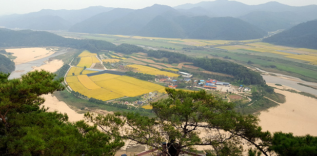회룡포 전경(2)